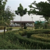 Thumbnail of new posts 120